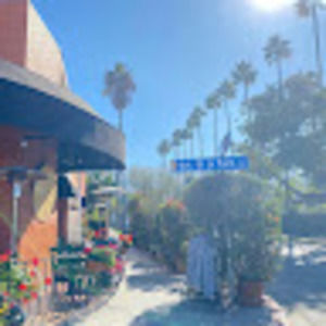 Meet your Posher, Ella